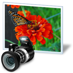 Video Galerisi